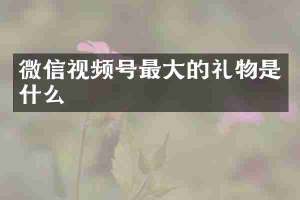 微信视频号最大的礼物是什么