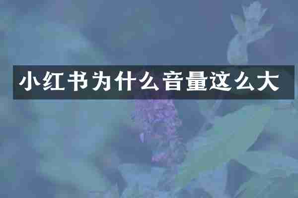 小红书为什么音量这么大