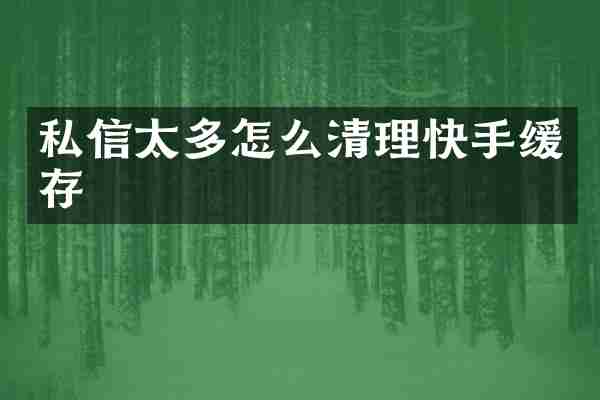私信太多怎么清理快手缓存