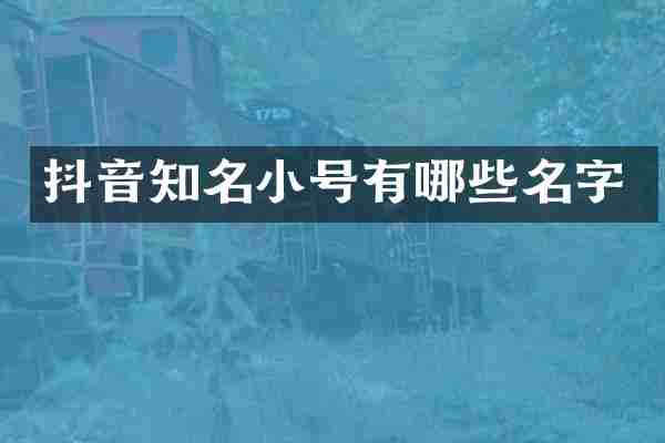 抖音知名小号有哪些名字