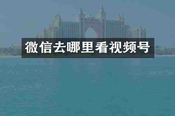 微信去哪里看视频号