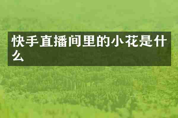 快手直播间里的小花是什么