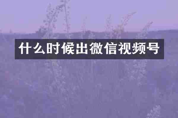 什么时候出微信视频号
