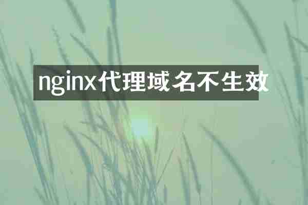 nginx代理域名不生效