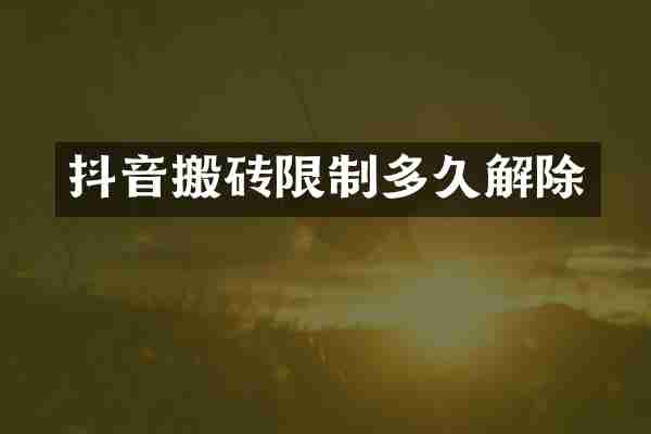 抖音搬砖限制多久解除