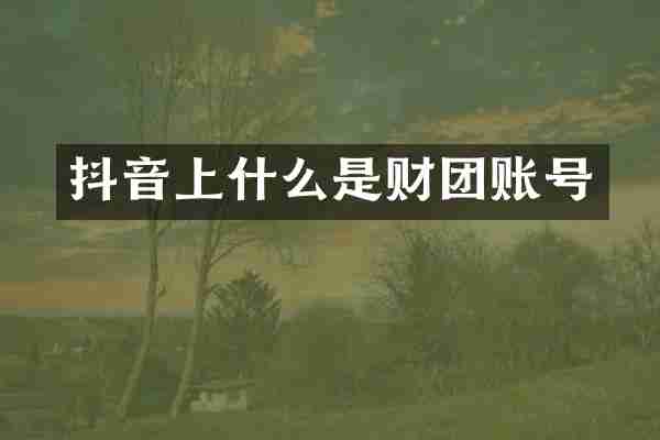 抖音上什么是财团账号