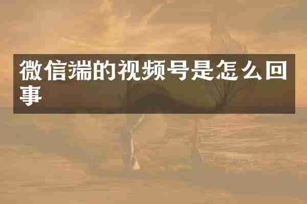 微信端的视频号是怎么回事