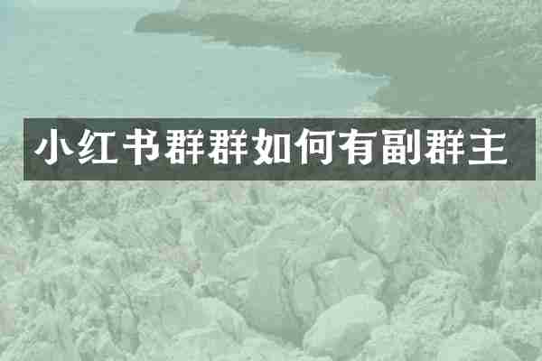 小红书群群如何有副群主