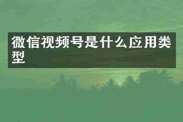 微信视频号是什么应用类型