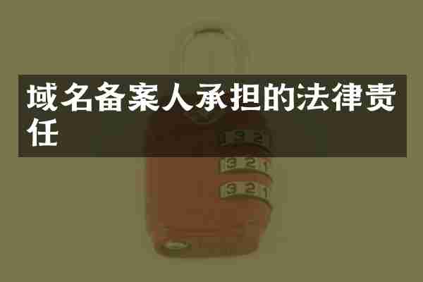 域名备案人承担的法律责任