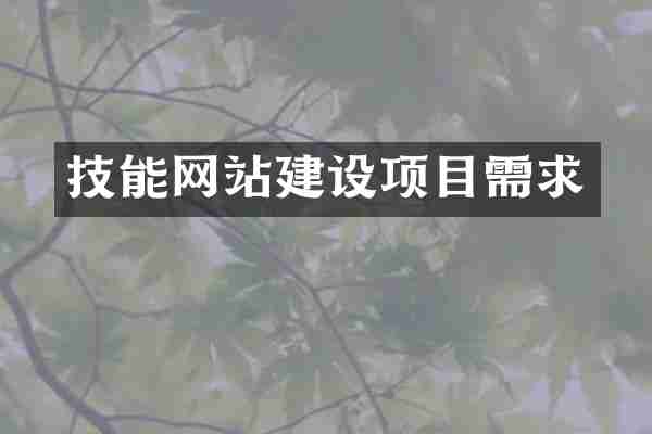 技能网站建设项目需求