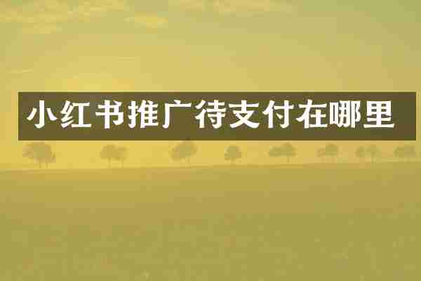小红书推广待支付在哪里