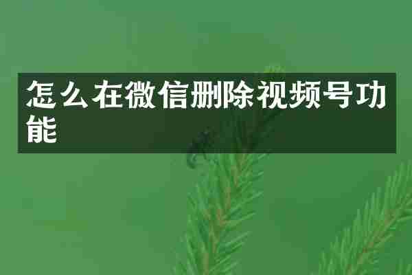 怎么在微信删除视频号功能