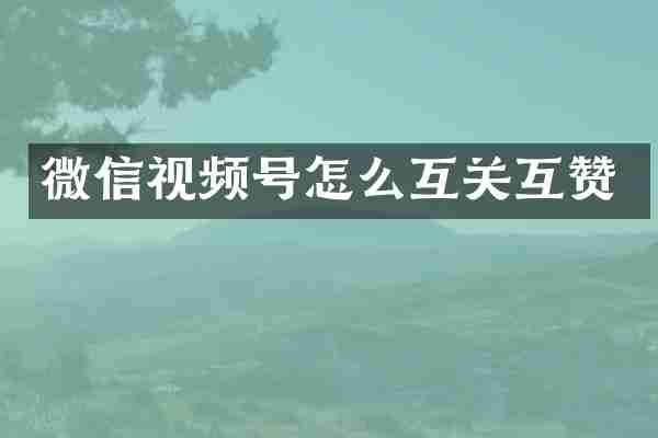 微信视频号怎么互关互赞