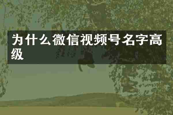 为什么微信视频号名字高级