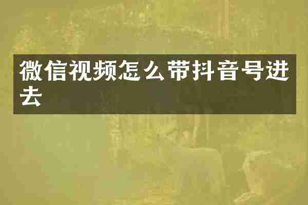 微信视频怎么带抖音号进去