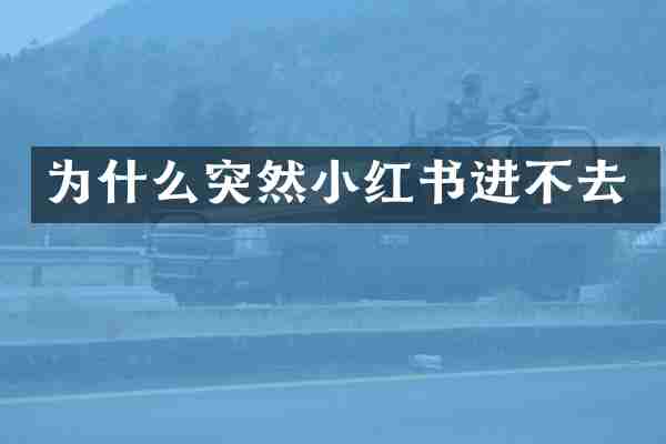 为什么突然小红书进不去