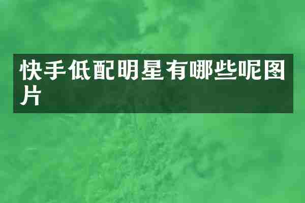 快手低配明星有哪些呢图片