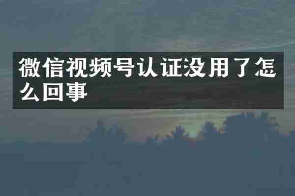 微信视频号认证没用了怎么回事