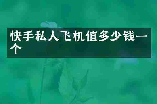 快手私人飞机值多少钱一个