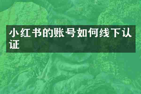 小红书的账号如何线下认证