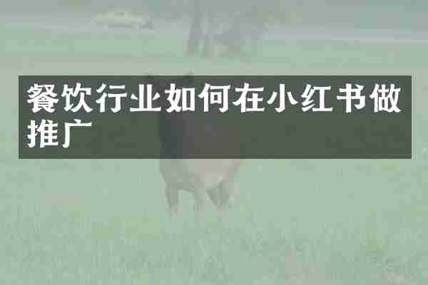 餐饮行业如何在小红书做推广
