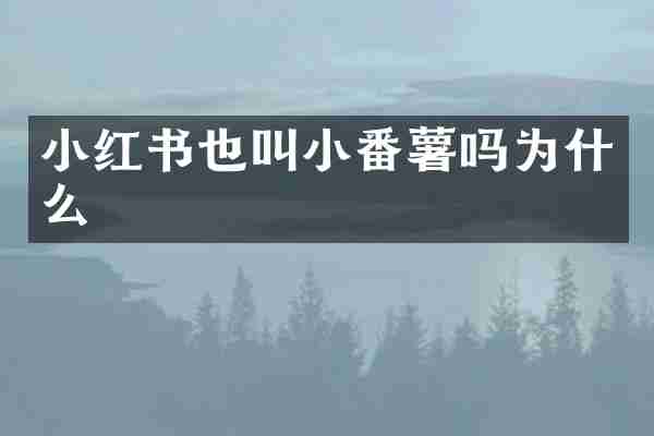 小红书也叫小番薯吗为什么