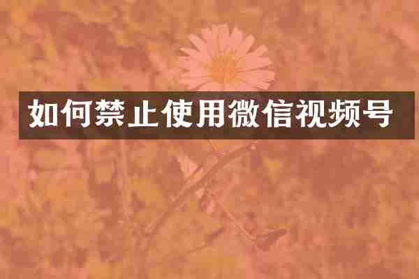 如何禁止使用微信视频号