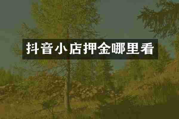 抖音小店押金哪里看