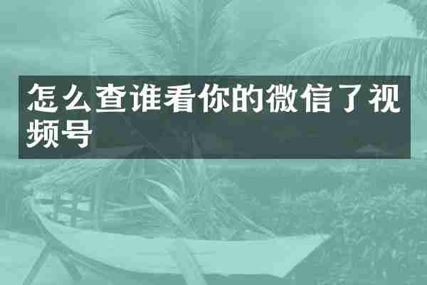 怎么查谁看你的微信了视频号