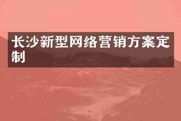 长沙新型网络营销方案定制