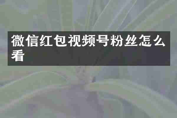 微信红包视频号粉丝怎么看