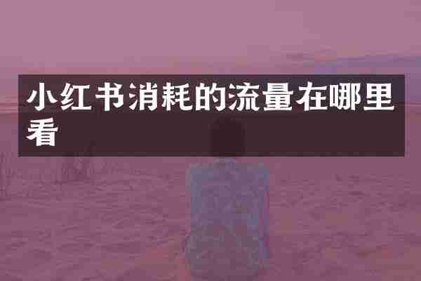 小红书消耗的流量在哪里看
