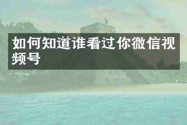 如何知道谁看过你微信视频号
