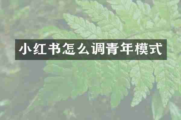 小红书怎么调青年模式