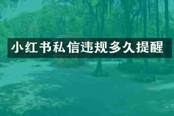 小红书私信违规多久提醒