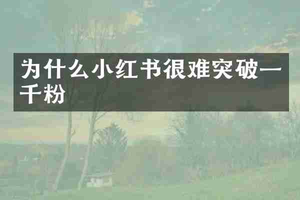 为什么小红书很难突破一千粉