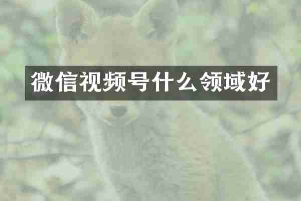 微信视频号什么领域好