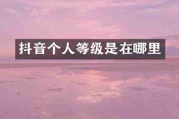 抖音个人等级是在哪里
