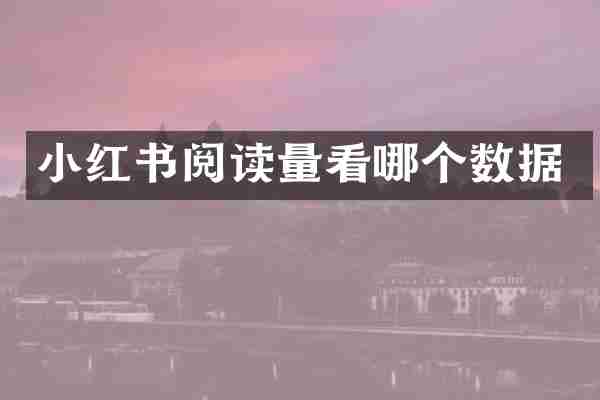 小红书阅读量看哪个数据