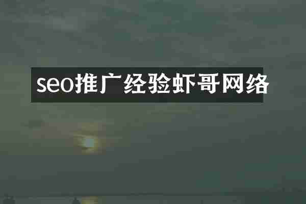 seo推广经验虾哥网络