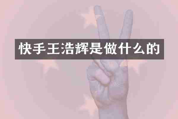 快手王浩辉是做什么的