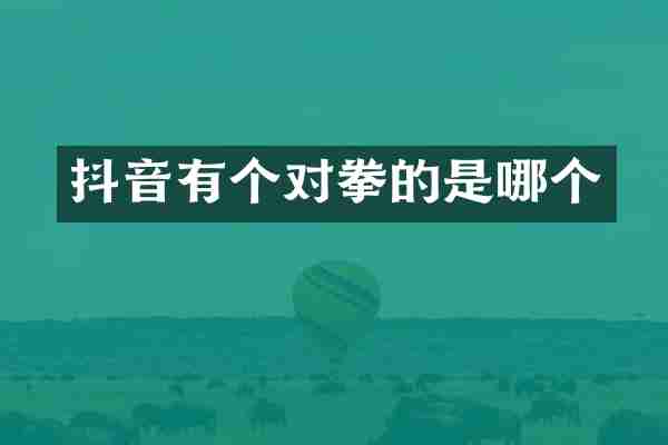 抖音有个对拳的是哪个