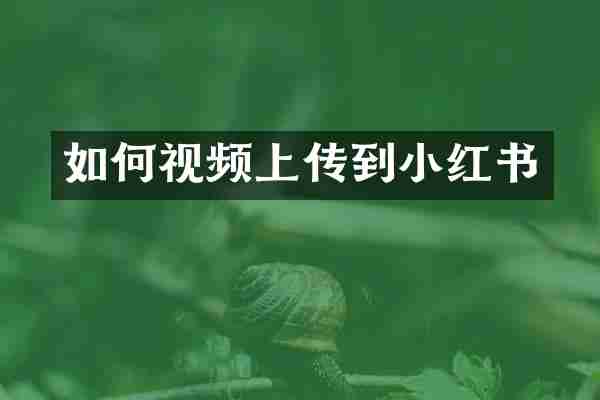 如何视频上传到小红书