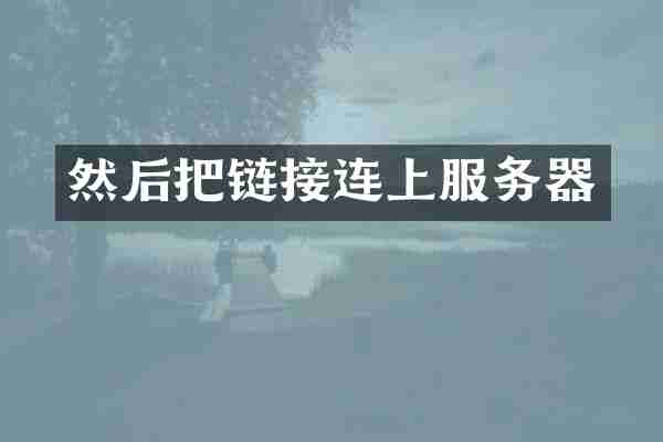 然后把链接连上服务器