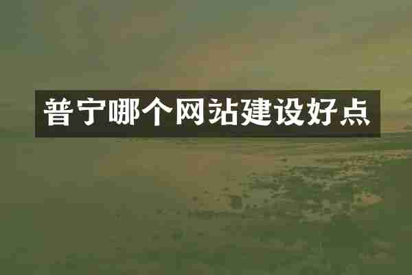 普宁哪个网站建设好点