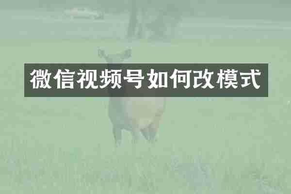 微信视频号如何改模式