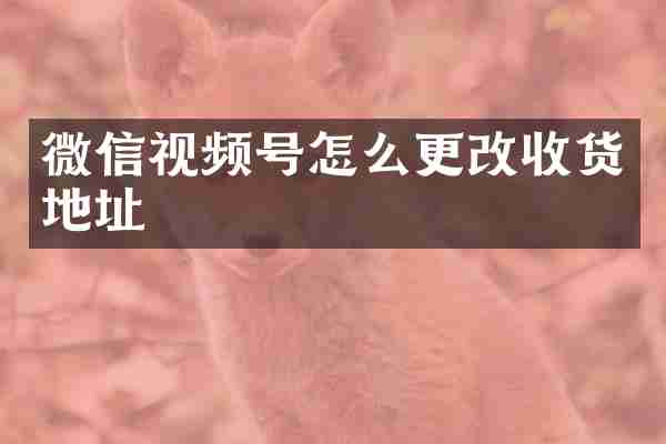 微信视频号怎么更改收货地址