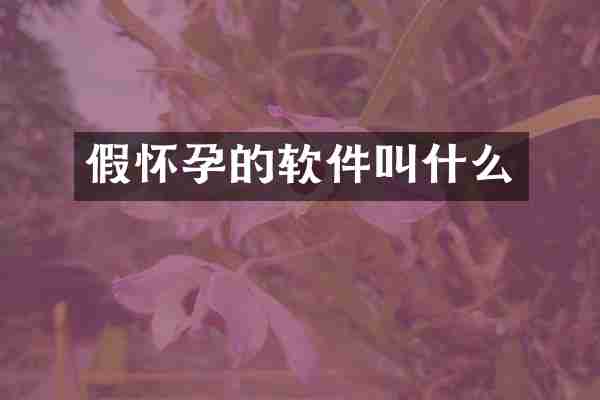 假怀孕的软件叫什么