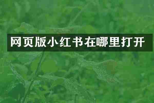 网页版小红书在哪里打开
